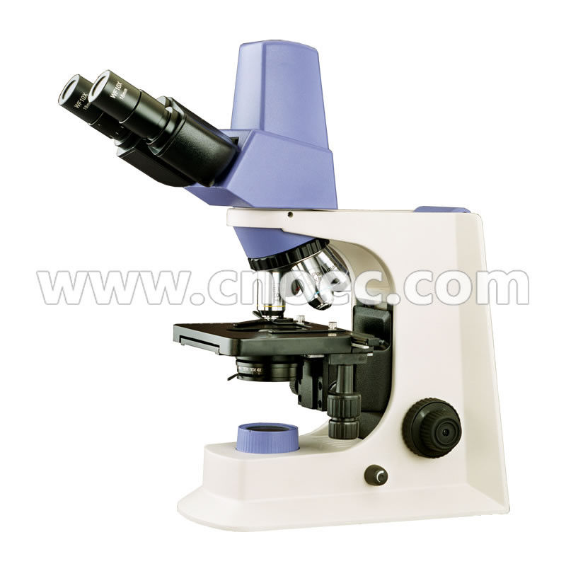 WF10X/20mm Seidentopf Binocular  Digital Microscope A31.2601 With Mechanical Stage