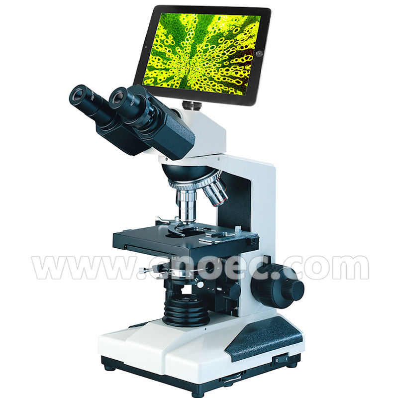 WF10X University Student 9.7" Biological Compound Microscope 40x - 1000x A33.0209 + A59.3503