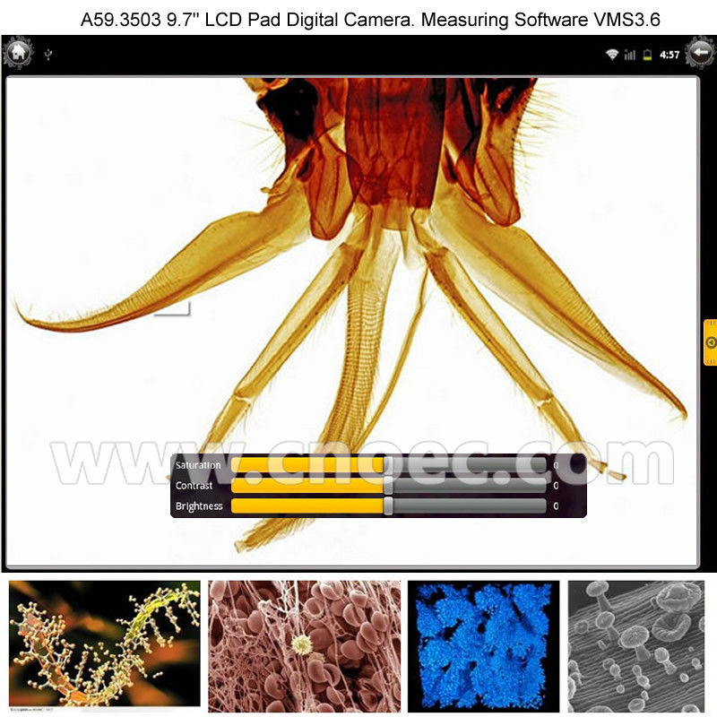 WF10X University Student 9.7" Biological Compound Microscope 40x - 1000x A33.0209 + A59.3503