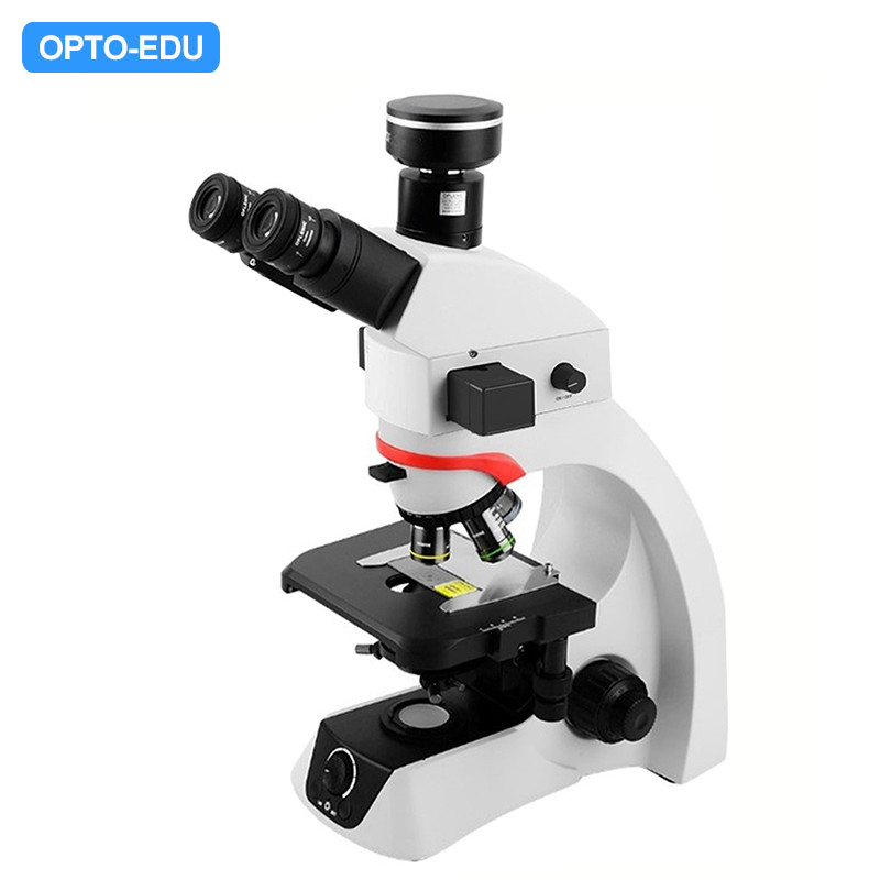 OPTO EDU A16.2263 BGUV Biological Laboratory Trinocular Fluorescent Microscope