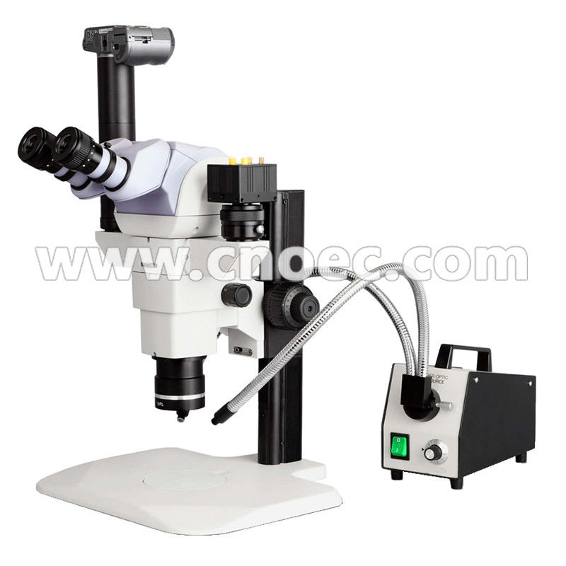 Reseach Zoom Stereo Microscope Halogen Lamp Microscopes A23.2603