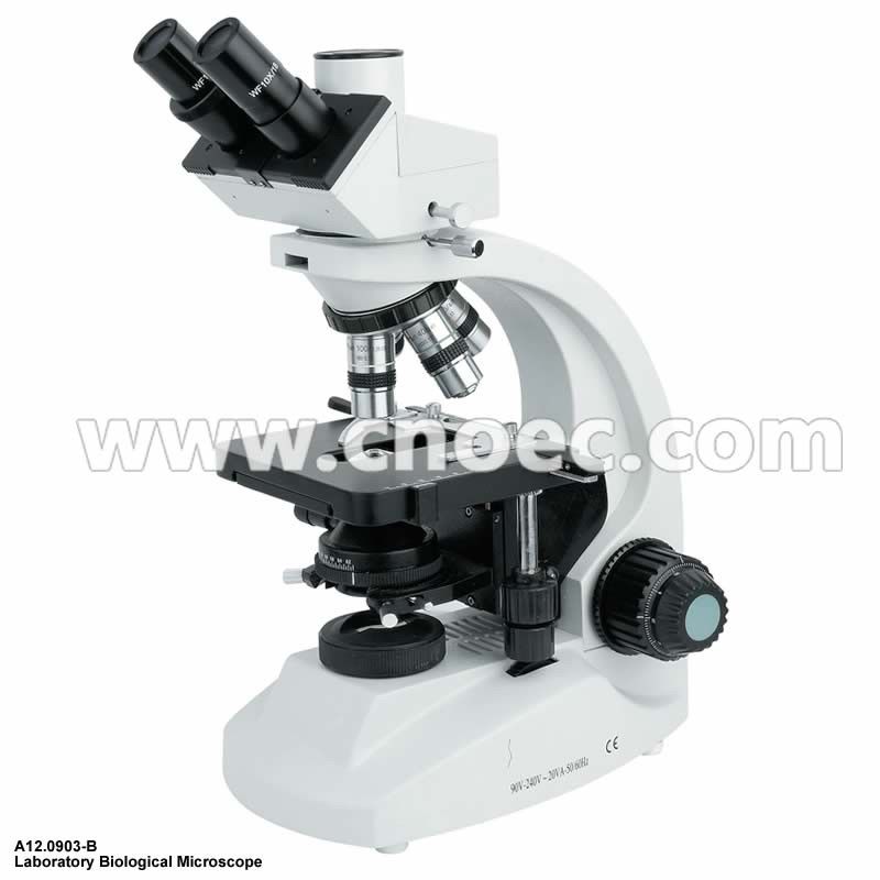 Laboratory Compound Optical Microscope Dark Field Microscopes A12.0903