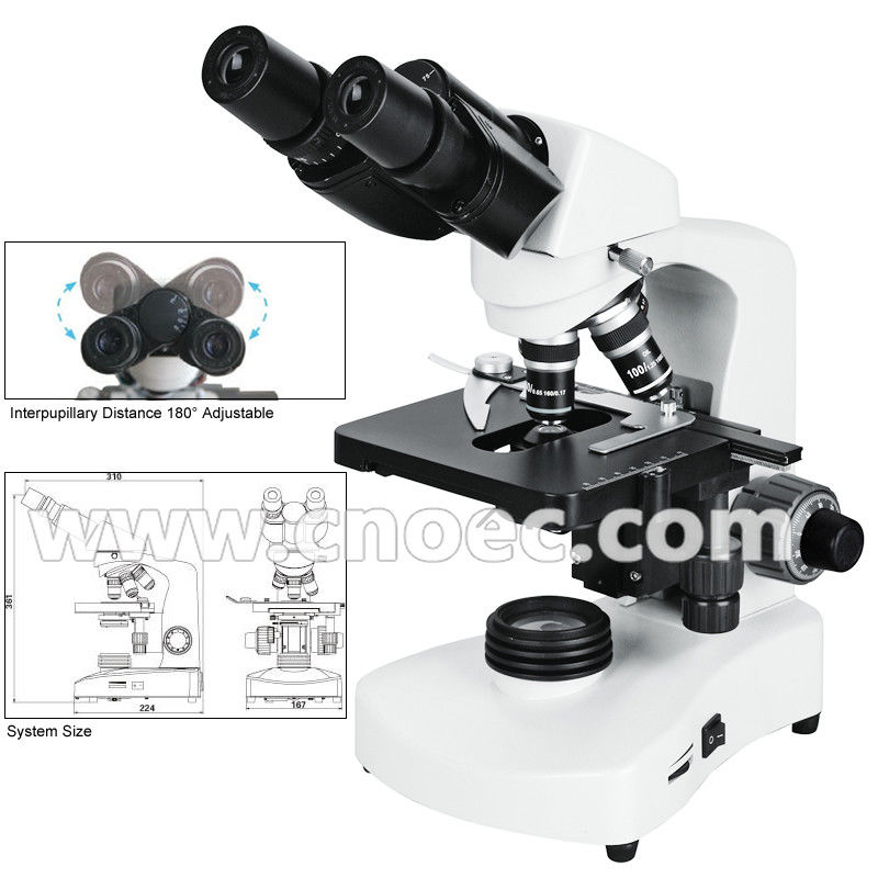 Halogen Lamp Compound Optical Microscope For High School A12.1005