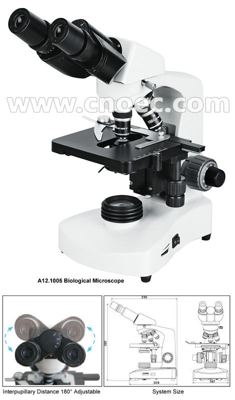 Halogen Lamp Compound Optical Microscope For High School A12.1005