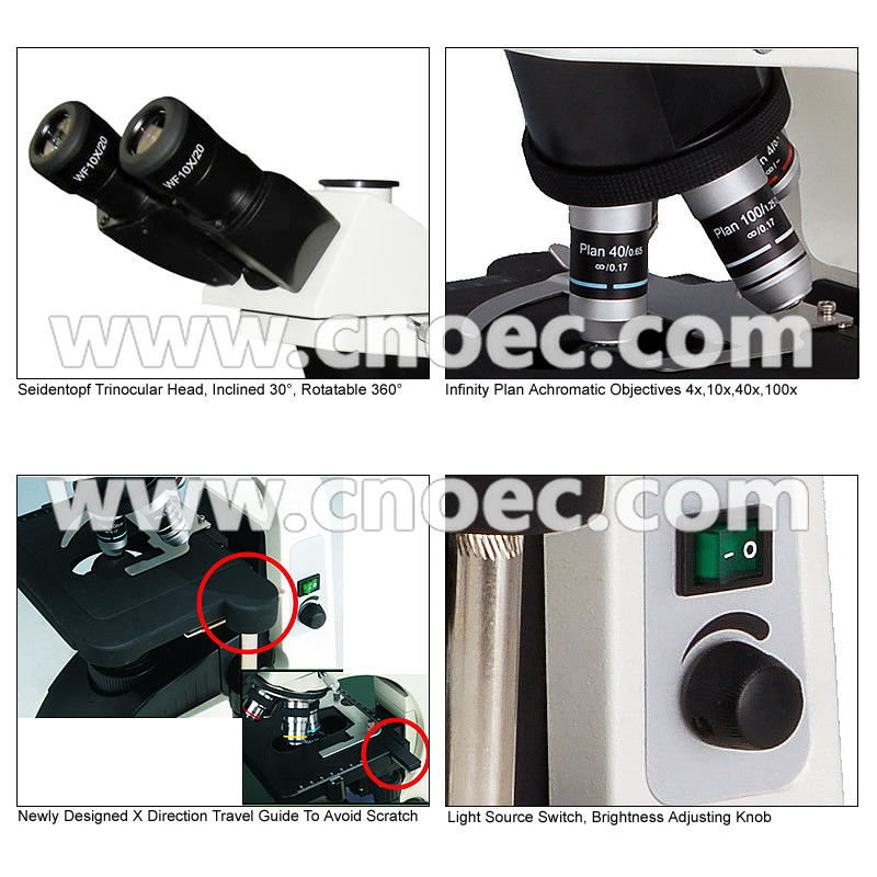 Hobby Achromatic LED Wide Field Microscope Phase Contrast Light Microscopes A12.1010