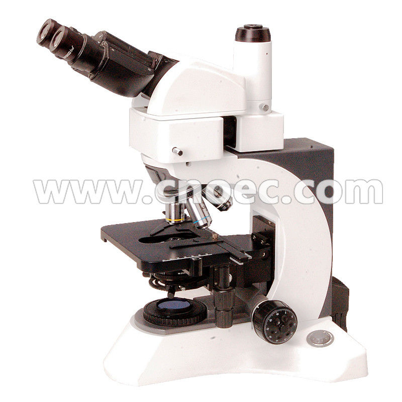 Compensation Free Binocular Infinity Plan Microscope 1000X , EWF10X - 20 CE A12.1025
