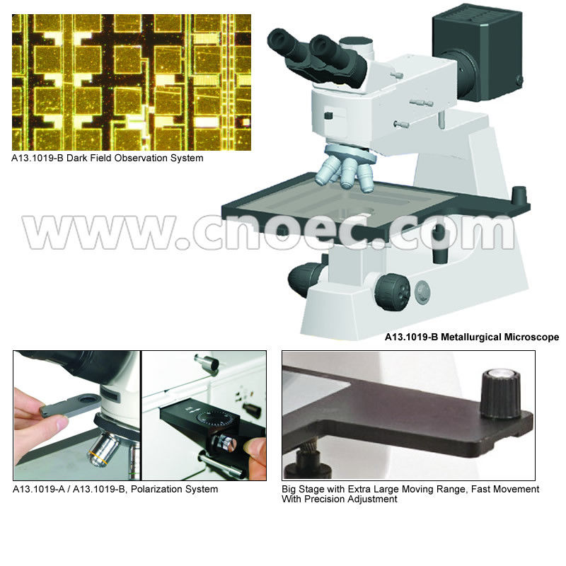 Trinocular Metallurgical Optical Microscope Halogen Lamp A13.1019