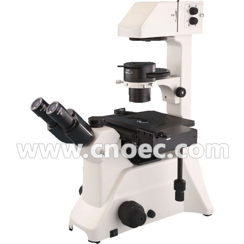 400X Inverted Phase Contrast Microscope With Seidentopf Trinocular A14.2602