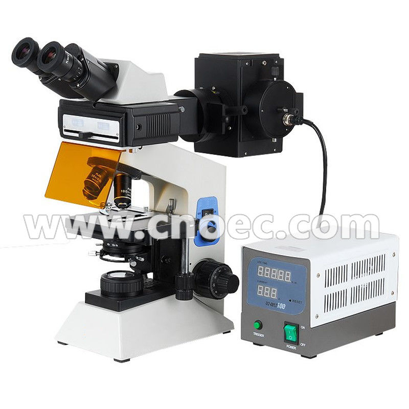 Trinocular / Binocular Fluorescence Microscope For Laboratory A16.0906
