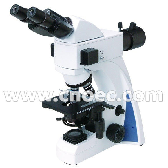 1000x LED Fluorescence Microscope With 30°Inclined Head A16.1030