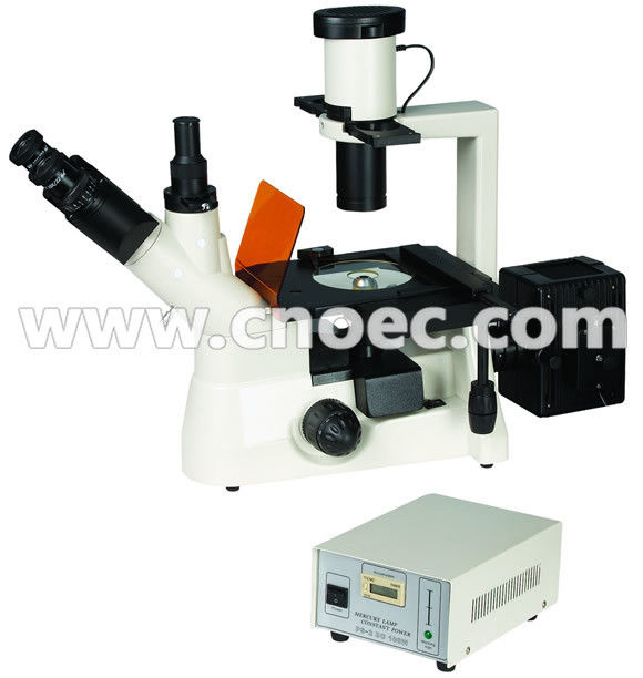 Inverted 40x - 400x Fluorescence Microscope With Mercury Lamp A16.1102