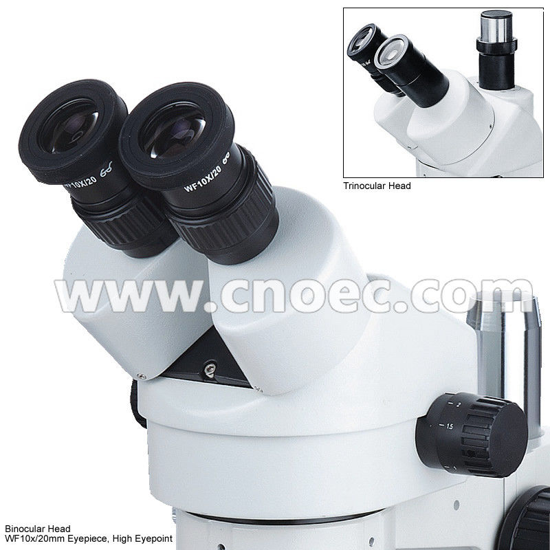 White Learning Stereo Binocular Microscope High Eyepoint A23.0901-BL1