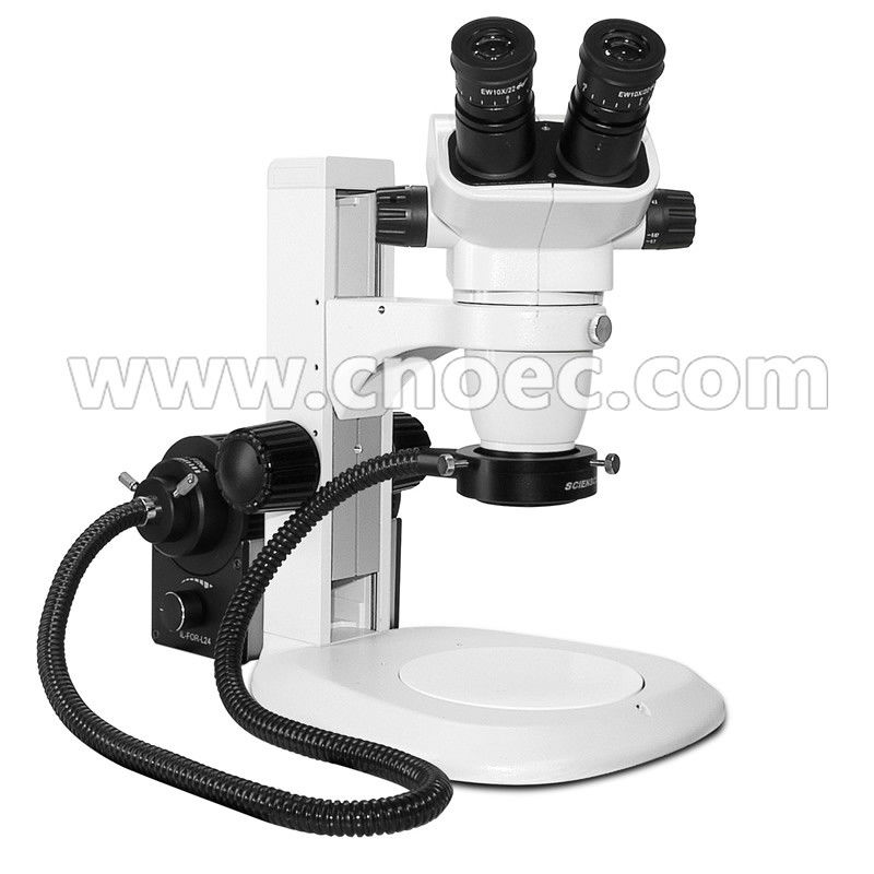 Parallel Stereo Optical Microscope Stereoscopic Microscopes for Clinic , CE A23.0903-T28