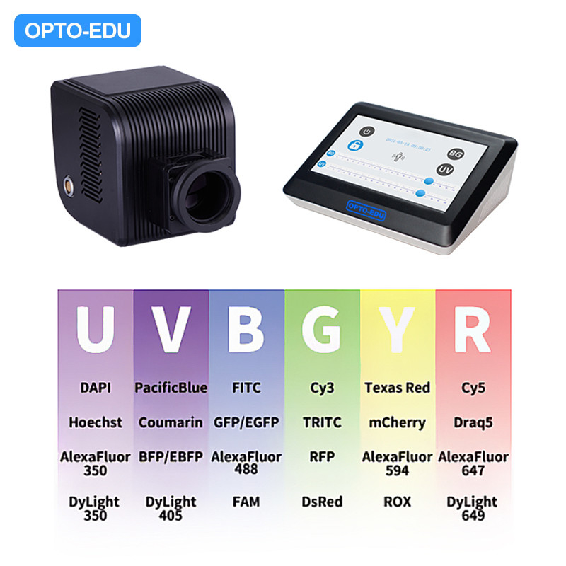 OPTO-EDU A5F.4810 Broad Spectrum LED Fluorescent Illuminator