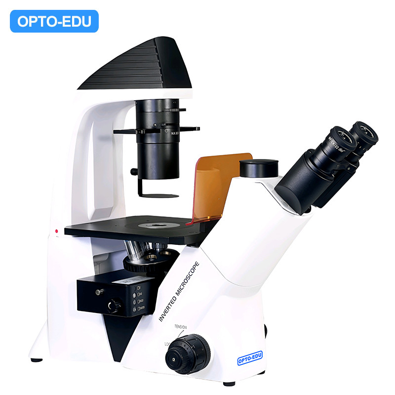 OPTO-EDU A16.2614-UL China Supplier High Brightness Inverted Ultra LED Fluorescent Microscope Price