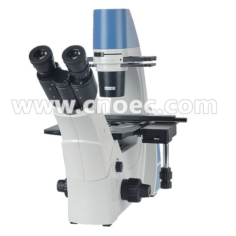 Ergonomic Phase Contrast Microscopy , Infinity Color Corrected Optical System A19.0901