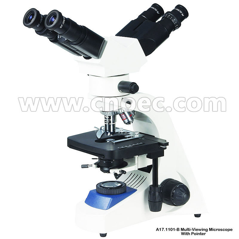 1000x Multi Viewing Microscope 2 Position With Halogen Lamp A17.1101