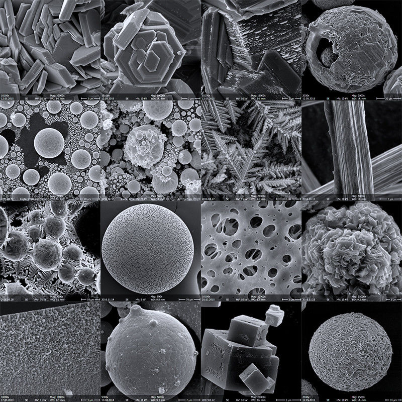 High Resolution Digital Scanning Optical Microscope Huge Sample Stage