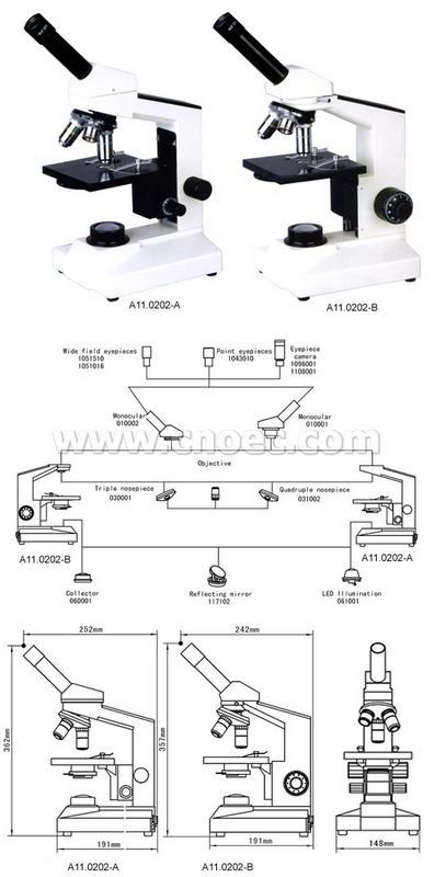 Portable Achromatic Binocular Compound Microscope A11.0202 For Lab