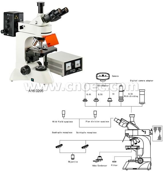 40X - 1000X Trinocular Fluorescence Microscope Compound Microscopes A16.0205