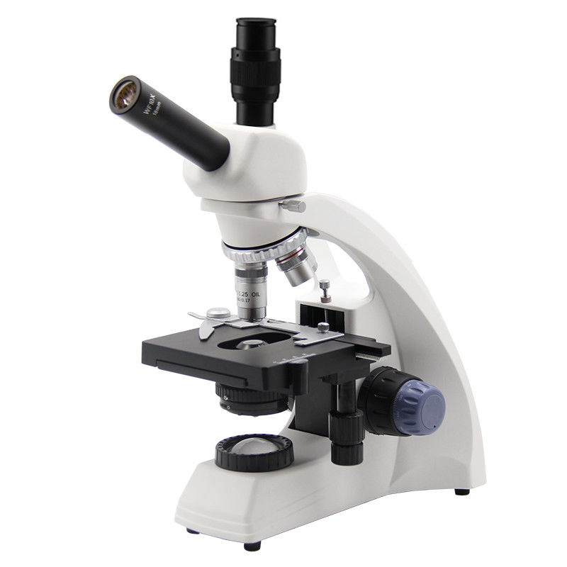 1000X Student Biological Microscope