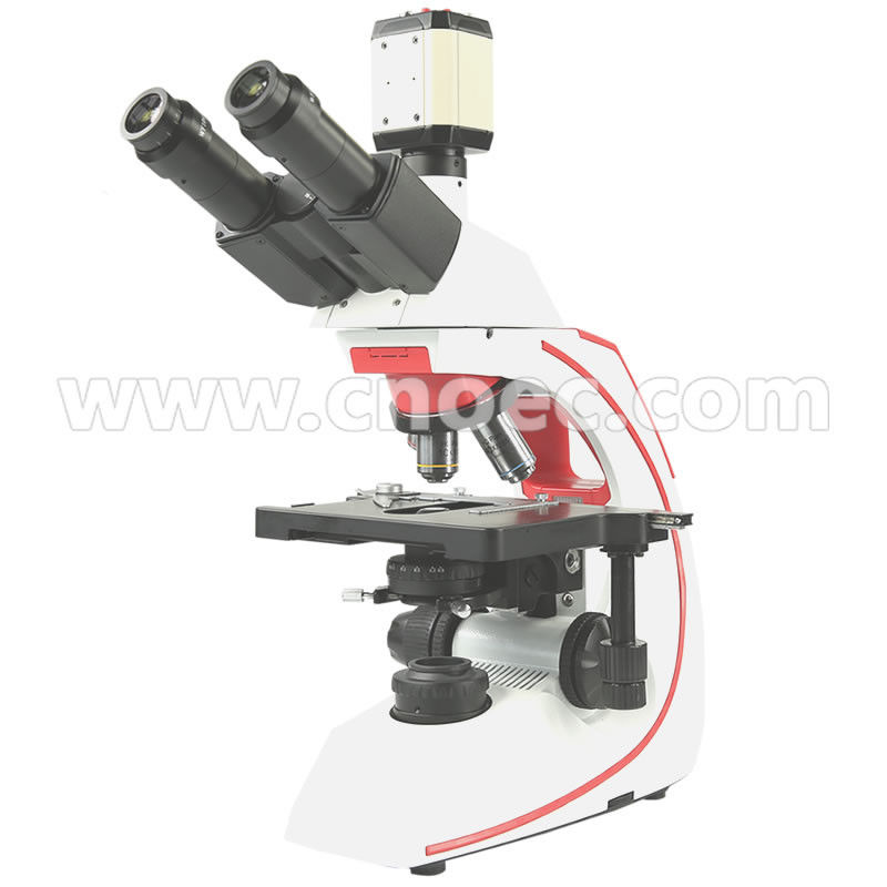 High Contrast Compound Optical Microscope Halogen Illumination Microscopes A12.0810