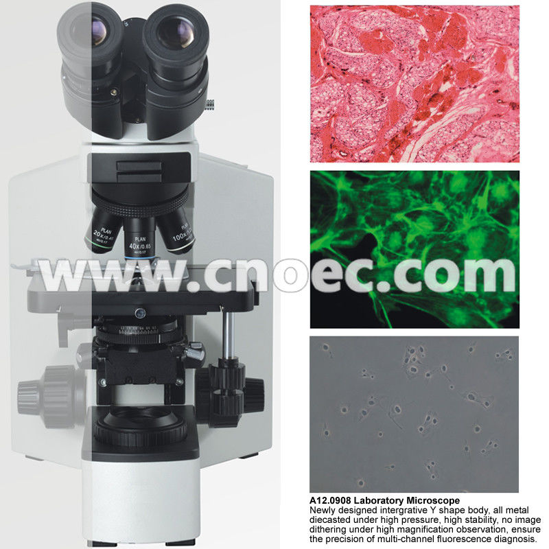 Infinity Binocular Compound Microscope With Infinity Plan Objective A12.0908