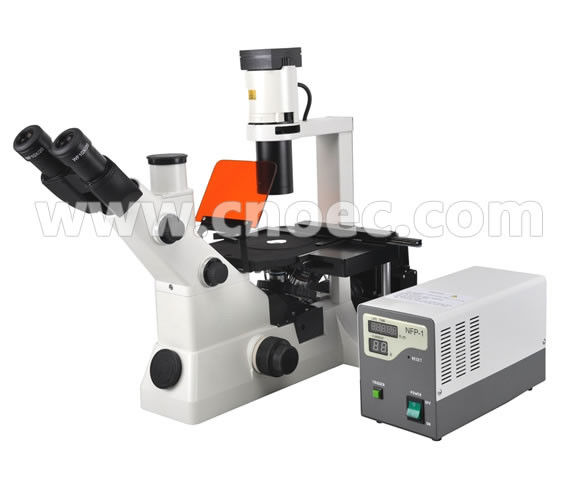 Inverted Fluorescence Binocular Compound Microscopes 40X - 400X A16.0701