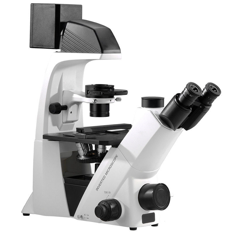 A16.2605 BGUV Inverted Fluorescence Microscope WF10X/22mm Diopter Adjustable
