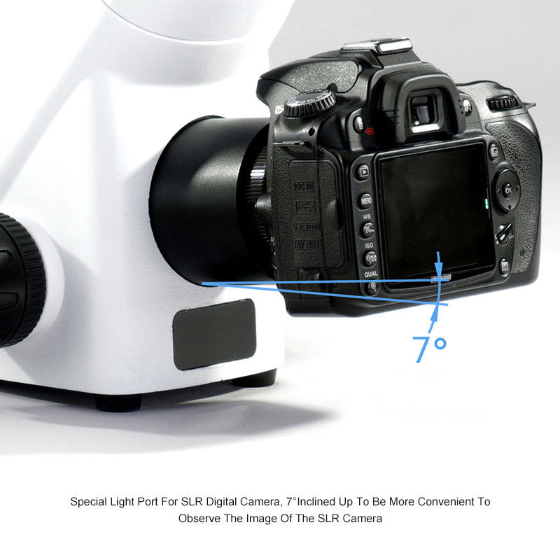 A16.2605 BGUV Inverted Fluorescence Microscope WF10X/22mm Diopter Adjustable