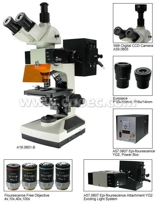 40X - 1600X Trinocular Fluorescence Microscope Compound Microscopes A16.0801