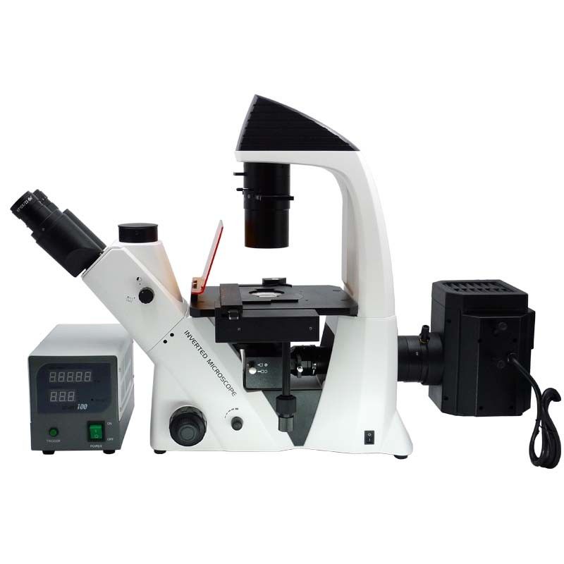 Binocular Wide Field Fluorescence Microscopy A16.2614 40X - 1600X Magnification