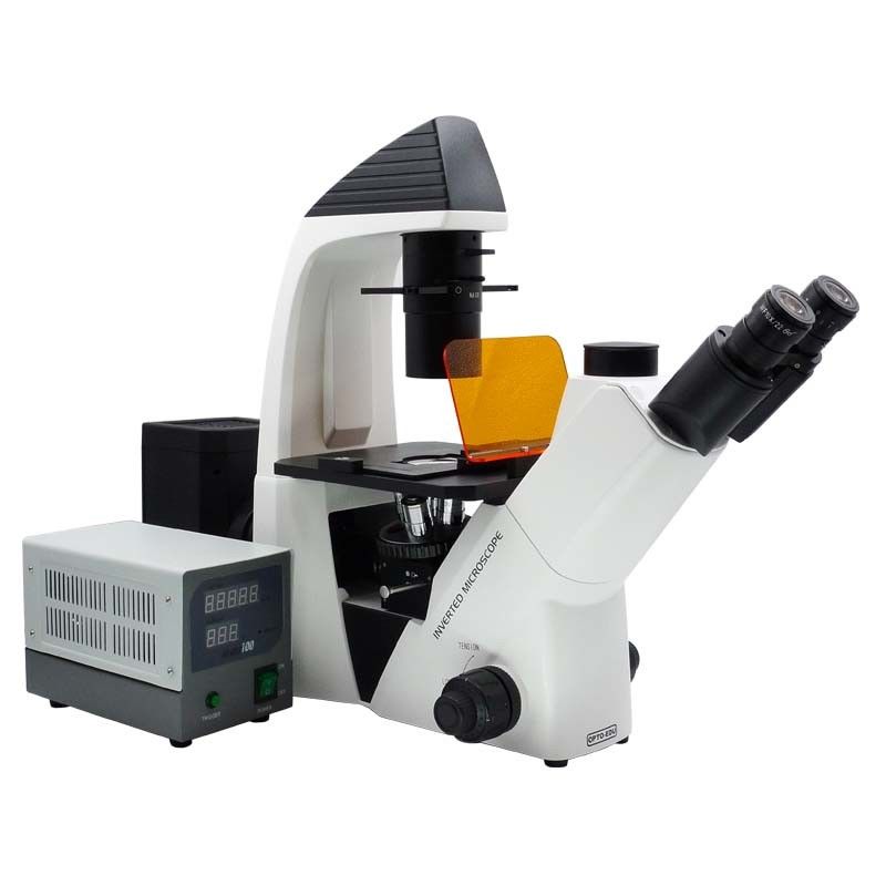 Binocular Wide Field Fluorescence Microscopy A16.2614 40X - 1600X Magnification