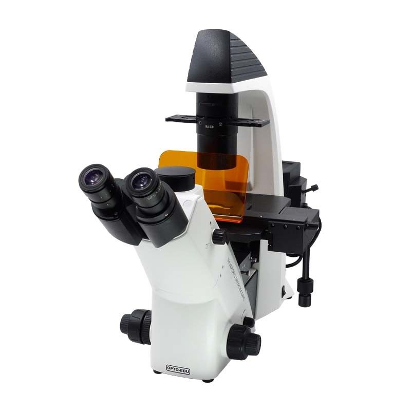 Binocular Wide Field Fluorescence Microscopy A16.2614 40X - 1600X Magnification