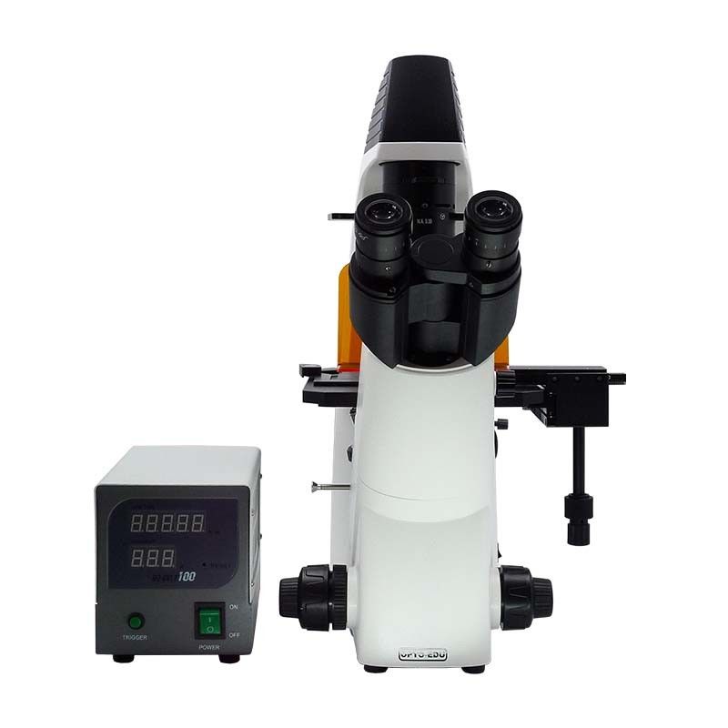 Binocular Wide Field Fluorescence Microscopy A16.2614 40X - 1600X Magnification