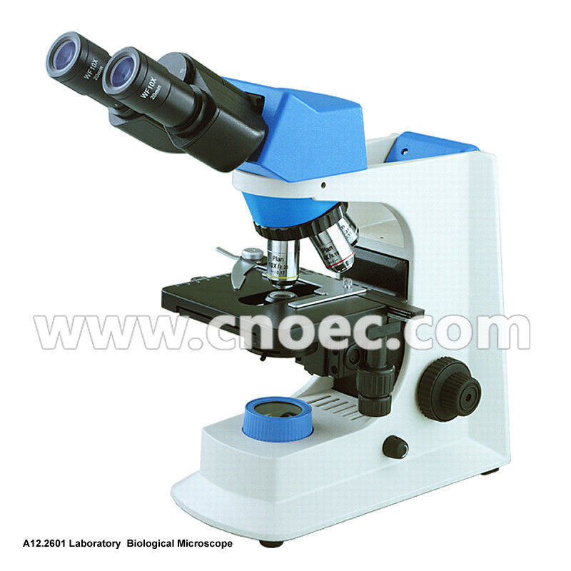WF10x/18mm 40X 1000X Quadruple Nosepiece Learning Compound Optical Microscope Halogen Illumination Microscopes A12.2601