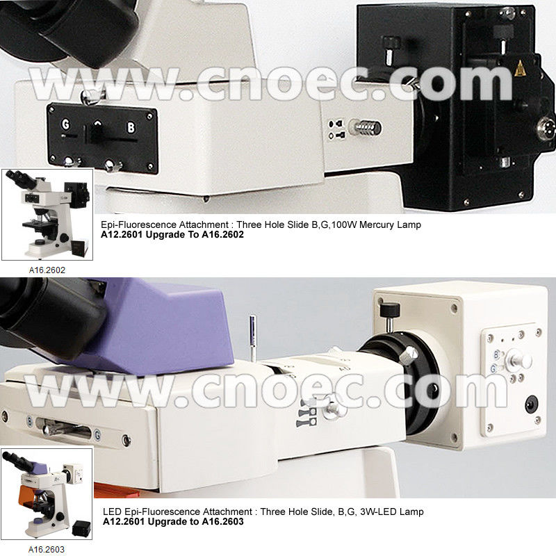 WF10x/18mm 40X 1000X Quadruple Nosepiece Learning Compound Optical Microscope Halogen Illumination Microscopes A12.2601