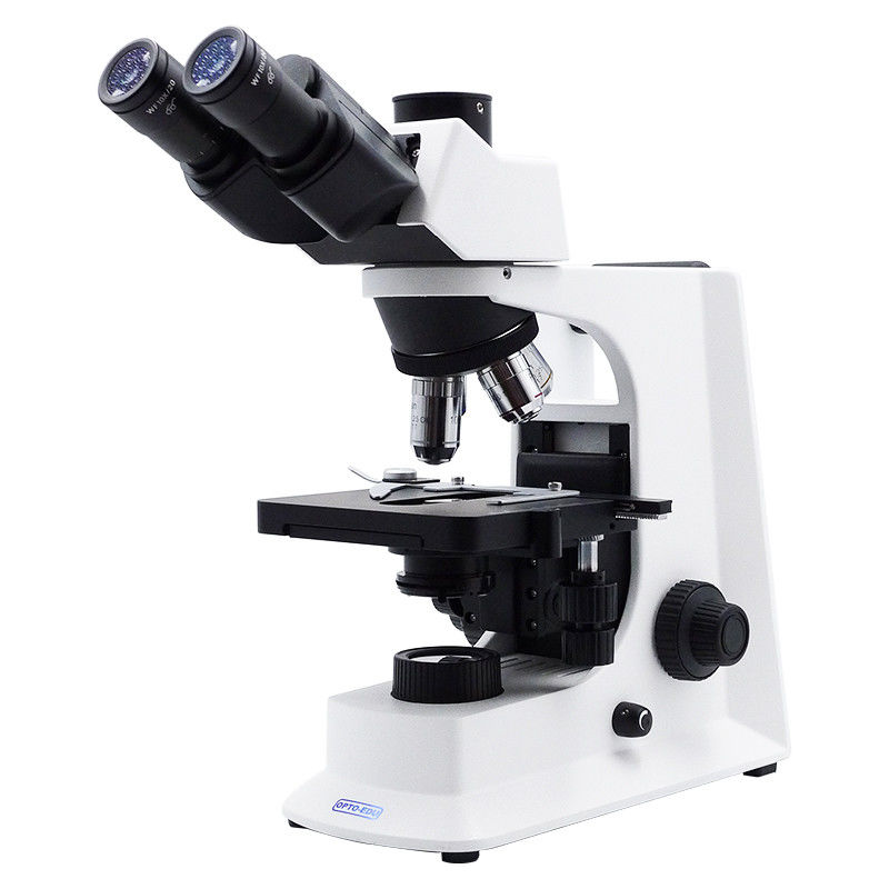 LED A12.2601-BT 400X Student Compound Microscope WF10x High Precision