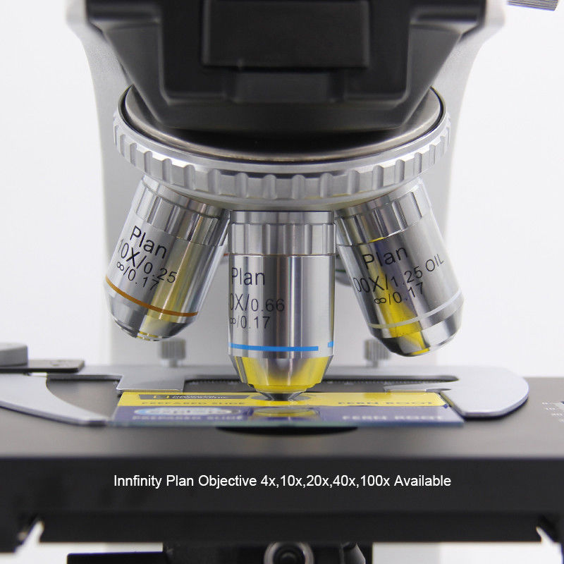 Laboratory Compound Optical Microscope 1000x