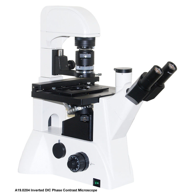 Trinocular Inverted DIC Phase Contrast Microscope A19.0204 100x - 400x