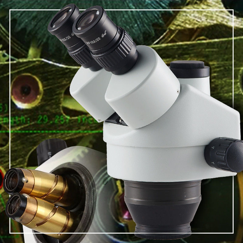 Digital Stereo Microscope