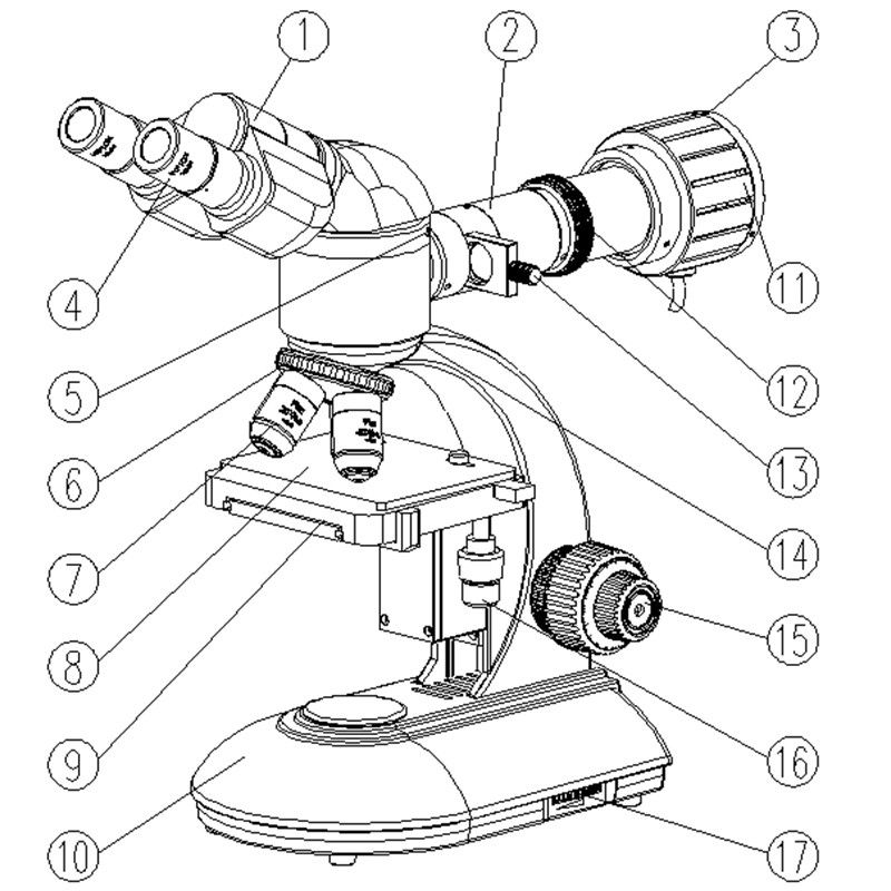 WF10X Eyepiece Binocular Student Optical Microscope ABBE NA1.25 Condenser