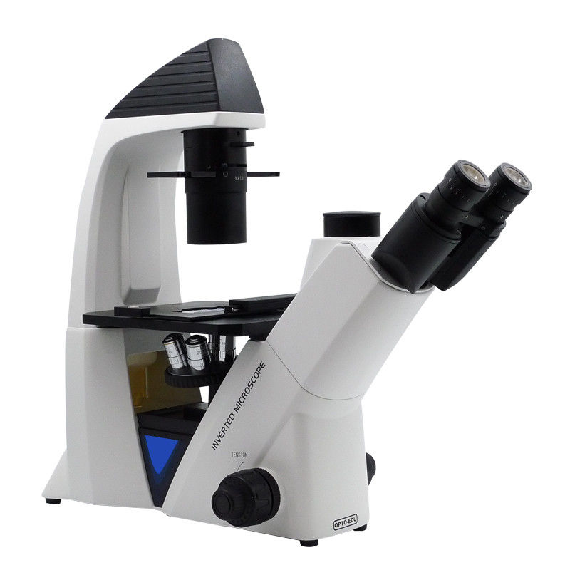 Trinocular Transmit Light Inverted Optical Microscope WF10x/22mm Eyepiece