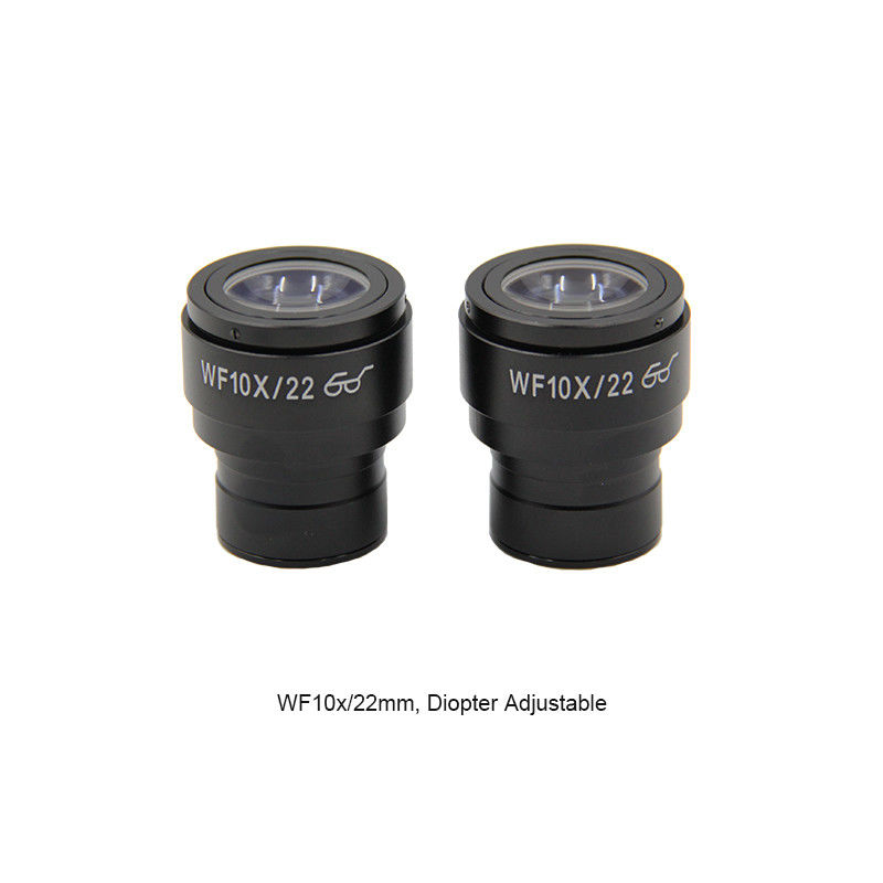 Optical Laboratory Inverted Microscope