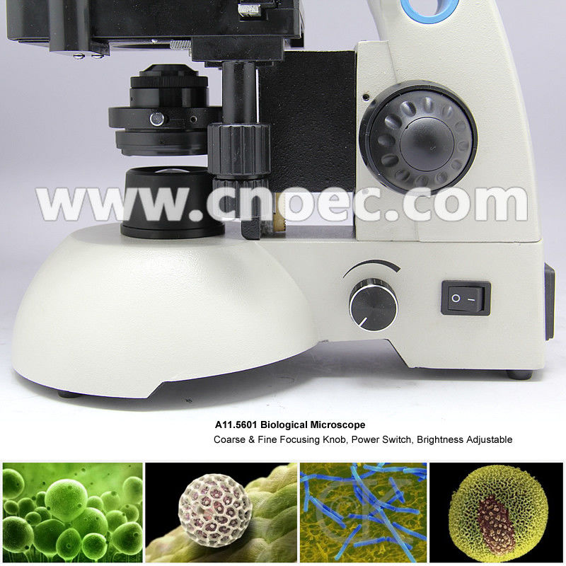 40x - 1600x Lab Student Achromatic Biological Microscope Monocular Microscopes A11.5601