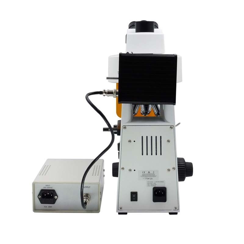 Fluorescence Microscope