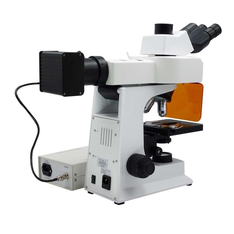 40x - 1000x LED Trinocular Fluorescence Microscope For Research / Learning