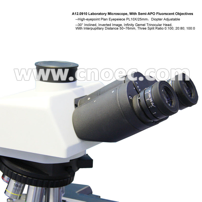 APO Trinocular Compound Optical Microscope with Halogen Lamp Illumination
