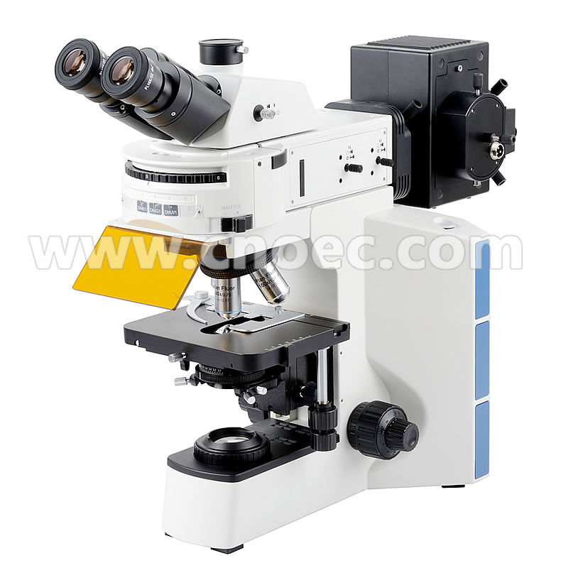 Trinocular Fluorescence Microscope Stereoscopic For Biological