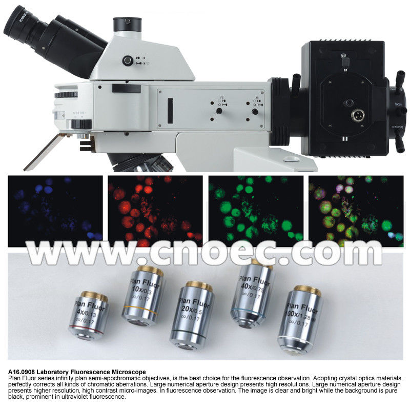 Trinocular Fluorescence Microscope Stereoscopic For Biological